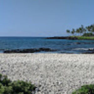 Meet your Posher, Toby